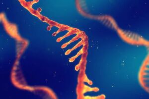 Cancer: how one type of RNA could be the future of treatment 